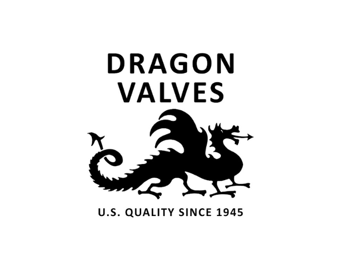 dragon valves logo